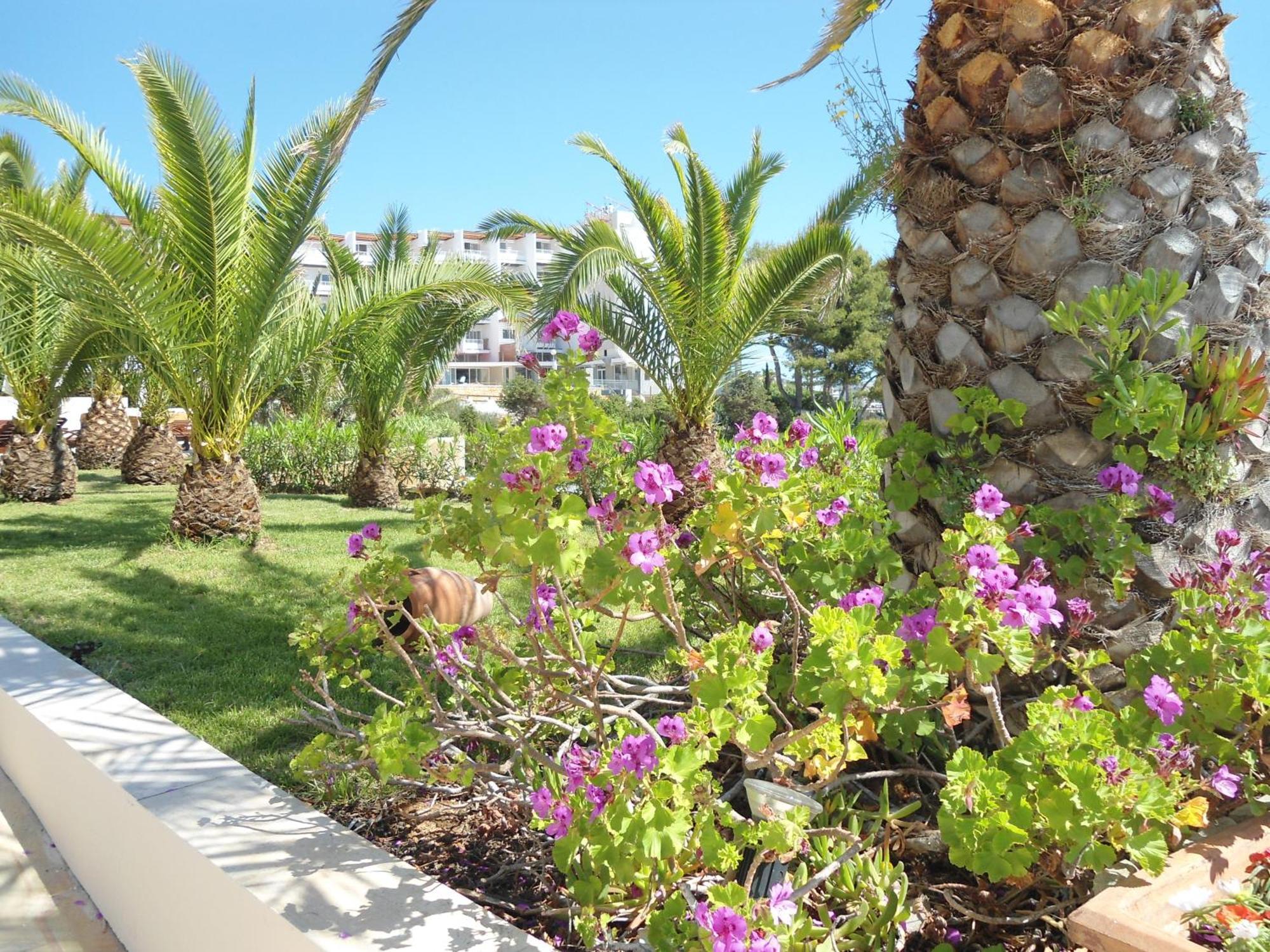 Grand Hotel Palladium Santa Eulalia Del Rio Exterior photo